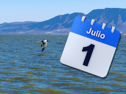 A diferencia de los escenarios críticos vividos en años anteriores, el ecosistema acuático logró superar de manera muy favorable la dura temporada seca y las altas temperaturas primaverales de este 2026. ESPECIAL / CANVA