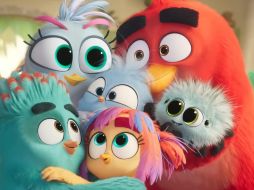 Por ahora, Paramount Pictures únicamente ha confirmado el reparto original en inglés. La compañía todavía no ha revelado quiénes integrarán el elenco de doblaje para América Latina. YOUTUBE/PARAMOUNTPICTURESMÉXICO