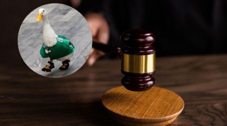 La propuesta plantea cambios en la legislación de bienestar animal ante nuevos escenarios surgidos en plataformas digitales. CANVA/SUN/ESPECIAL