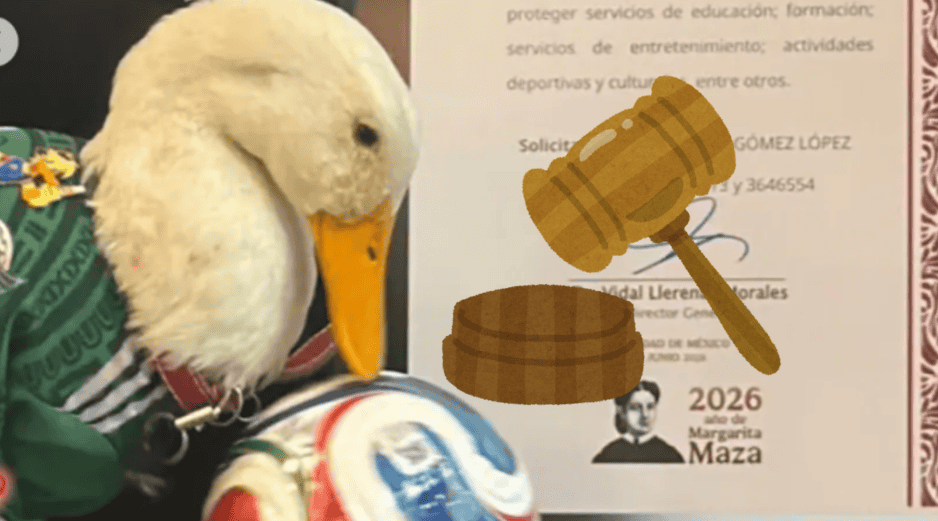 La inspiración detrás de esta reforma es el famoso Pato Merlín, un ave que se convirtió en celebridad durante el Mundial 2026. INSTAGRAM / @soyelpatomerlin