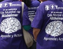 Una investigación analizó cómo la nutrición impacta directamente en la salud cerebral. NTX / ARCHIVO