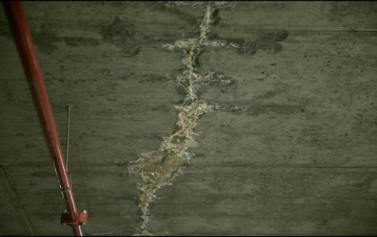 El salitre es una acumulación de sales minerales que emerge a la superficie de muros, techos o pisos cuando existe humedad en el interior de los materiales de construcción. ESPECIAL/Canva