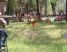 La emoción del futbol y la diversión se unen en esta increíble promoción del Zoológico Guadalajara. INSTAGRAM/zoologicoguadalajara
