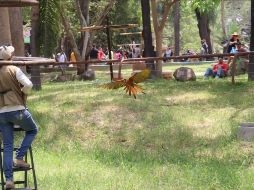 La emoción del futbol y la diversión se unen en esta increíble promoción del Zoológico Guadalajara. INSTAGRAM/zoologicoguadalajara