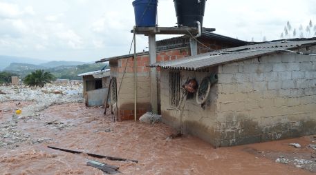 La tragedia tuvo lugar en la provincia Zamora Chinchipe. ESPECIAL/PEXELS