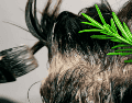 Ante las canas, expertos sugieren adoptar alternativas botánicas mucho menos invasivas que los tintes tradicionales formulados con amoníaco y otros derivados del petróleo. ESPECIAL / CANVA