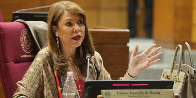 Qui n Es Celeste Amarilla La Senadora Que Lanz Insultos Racistas qui-n-es-celeste-amarilla-la-senadora-que-lanz-insultos-racistas