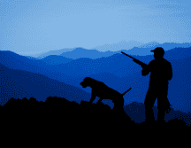 El desgaste físico de los perros de caza exige un enfoque nutricional distinto al de los animales de compañía tradicionales. CANVA / ESPECIAL