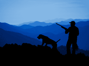 El desgaste físico de los perros de caza exige un enfoque nutricional distinto al de los animales de compañía tradicionales. CANVA / ESPECIAL
