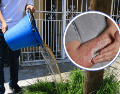 El funcionario cuestionó las evidencias de vecinos y organizaciones, quienes aseguran que tras bañarse y utilizar el agua contaminada que llega a sus viviendas han presentado enfermedades. EL INFORMADOR / ARCHIVO / FREEPIK / CANVA