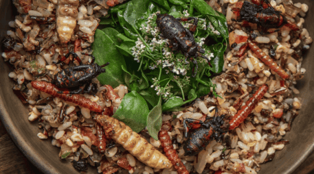 Cada uno de estos insectos se recolecta en temporadas específicas y en diferentes estados de la República. SUN / E. SILVA