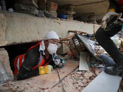 Unos 200 mineros artesanales del sur de Venezuela cambiaron las galerías subterráneas para ayudar a recuperar los cuerpos de las víctimas que dejó el doble terremoto que azotó esta zona costera el 24 de junio. EFE/ R. Martínez