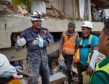 Explican que para detectar la ubicación de las víctimas se guían por los indicios del terreno, la humedad y la presencia de moscas o gusanos. EFE / R. Martínez