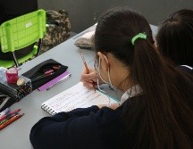 El fin del ciclo escolar se aproxima y la autoridad educativa ha fijado los días clave para consultar el rendimiento académico de los estudiantes. SUN/ARCHIVO