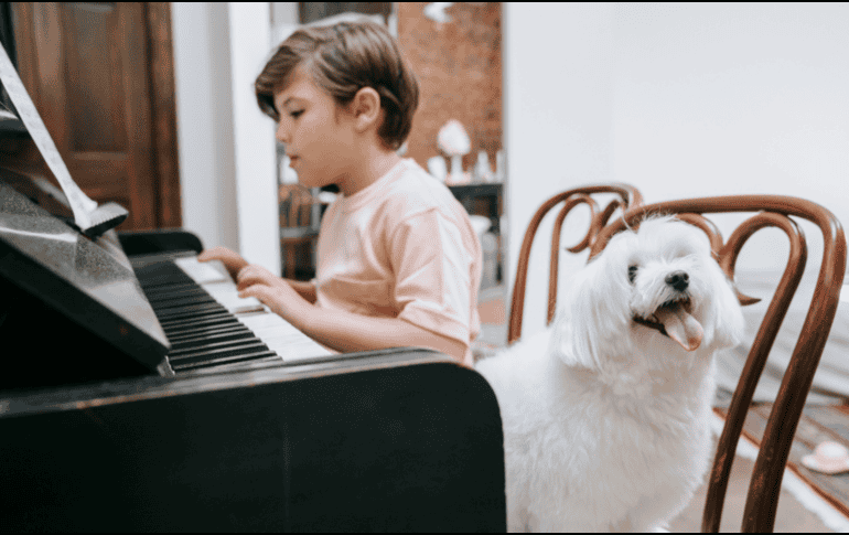 La música funciona como un complemento para disminuir el estrés, aunque no sustituye el entrenamiento conductual. CANVA