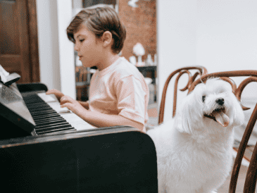 La música funciona como un complemento para disminuir el estrés, aunque no sustituye el entrenamiento conductual. CANVA