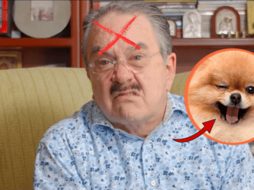 Los comentarios realizados durante Ventaneando volvieron a poner sobre la mesa una discusión que suele dividir opiniones: la presencia de mascotas en espacios públicos y establecimientos comerciales. YOUTUBE/@pedrosola