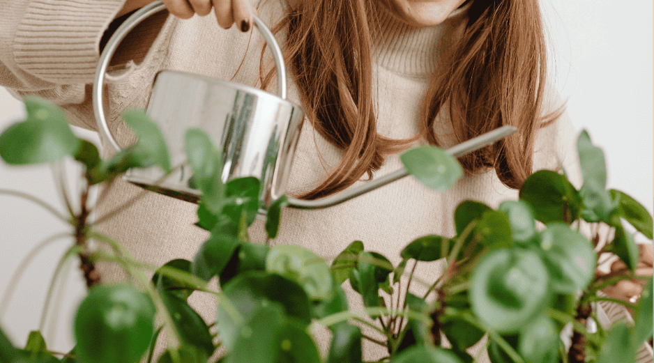 El amarillamiento de las hojas se conoce como clorosis y ocurre cuando disminuye la producción de clorofila, el pigmento responsable del color verde y de la fotosíntesis. ESPECIAL/Canva