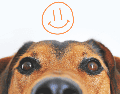 Un perro guardián puede convertirse en un excelente compañero para quienes viven en un edificio, siempre que sus necesidades físicas y emocionales sean atendidas. ESPECIAL/Canva