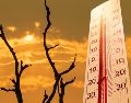 Muchos científicos del clima pronostican que 2027 —debido al calor acumulado— romperá el récord de temperatura global máxima de 2024, establecido por el último "Niño" fuerte. ESPECIAL / CANVA