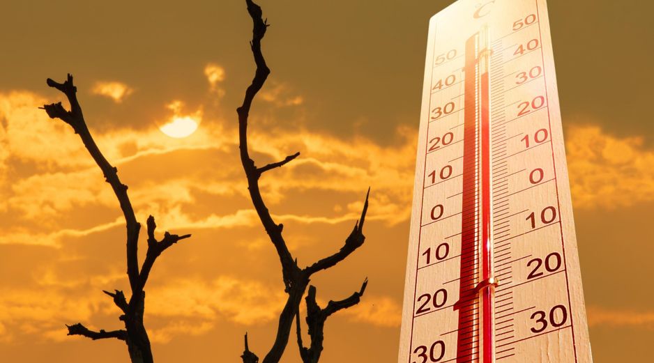 Muchos científicos del clima pronostican que 2027 —debido al calor acumulado— romperá el récord de temperatura global máxima de 2024, establecido por el último 