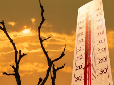 Muchos científicos del clima pronostican que 2027 —debido al calor acumulado— romperá el récord de temperatura global máxima de 2024, establecido por el último "Niño" fuerte. ESPECIAL / CANVA