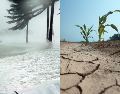 En México, los efectos por "El Niño" varían según la zona y la temporada del año. ESPECIAL / CANVA