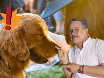"En ninguna de mis empresas está permitido el maltrato animal ni fomentar la violencia contra ningún ser vivo", declaró el empresario en redes. SUN 7 ARCHIVO / UNSPLASH / A. Griffith