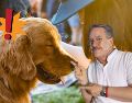 "En ninguna de mis empresas está permitido el maltrato animal ni fomentar la violencia contra ningún ser vivo", declaró el empresario en redes. SUN 7 ARCHIVO / UNSPLASH / A. Griffith