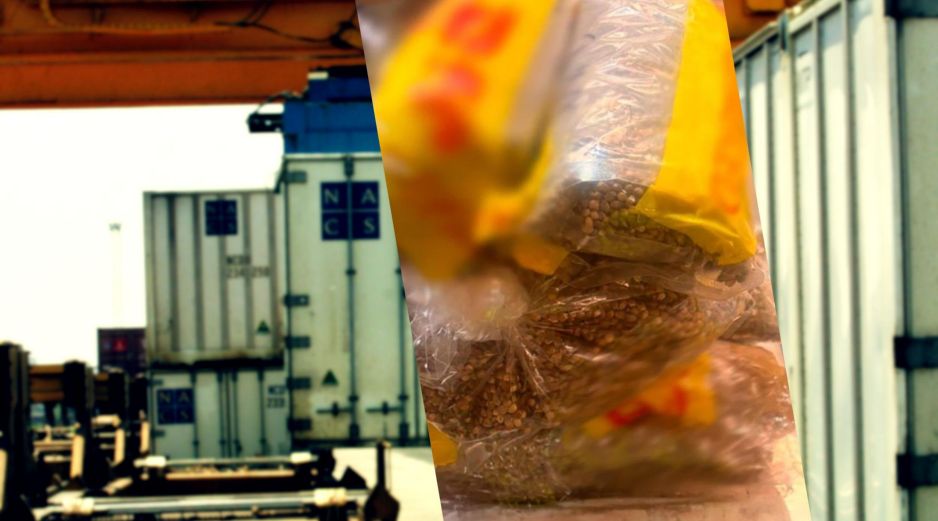 Personal aduanero detectó cinco cajas de cartón que contenían en su interior dos muñecos rellenos de semillas con características semejantes al vegetal. EL INFORMADOR / ARCHIVO
