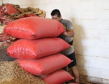 Según datos de la ANAM el país importó 19,93 millones de toneladas de granos y oleaginosas durante los primeros cinco meses de 2026. EFE / ARCHIVO
