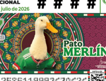 El pato Merlín se viralizó en redes sociales luego de ser grabado portando su camiseta de la Selección cuando acompañaba a sus dueños a vender agua en las calles. SUN / ESPECIAL