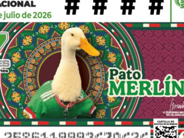 El pato Merlín se viralizó en redes sociales luego de ser grabado portando su camiseta de la Selección cuando acompañaba a sus dueños a vender agua en las calles. SUN / ESPECIAL