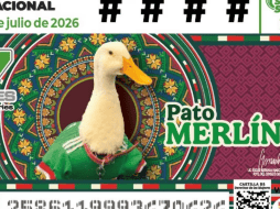 El pato Merlín se viralizó en redes sociales luego de ser grabado portando su camiseta de la Selección cuando acompañaba a sus dueños a vender agua en las calles. SUN / ESPECIAL