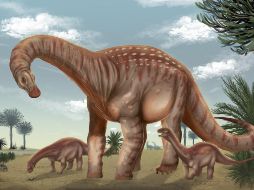 Los científicos consideran que este descubrimiento abre nuevas líneas de investigación para comprender cómo evolucionaron los animales prehistóricos. EFE / FACULTAD DE CIENCIAS UDELAR