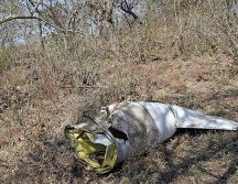 La aeronave se dirigía a San Andros cuando se desplomó. EL INFORMADOR/ARCHIVO