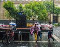 Autoridades recomendaron cargar con un paraguas o impermeable en caso de salir a la calle. ESPECIAL/PEXELS