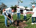 Con la siembra, la cobertura foliar del Parque Luis Quintanar pasa a 33.5 por ciento de su área total. ESPECIAL