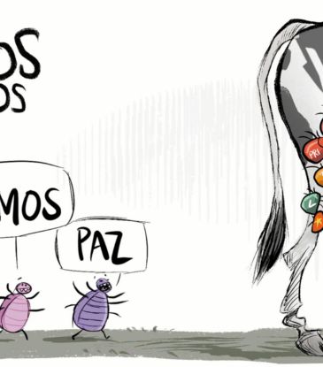 Cartucho