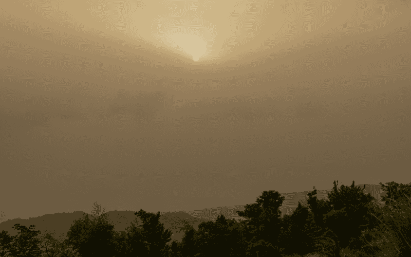 CANVA&nbsp;