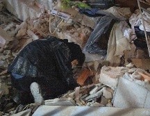 Desde el pasado 24 de junio, se han presentado mil 254 réplicas en Venezuela. EFE/ARCHIVO