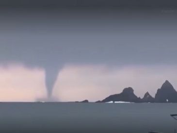 La "culebra de agua" en playas de Jalisco se convirtió en todo un acontecimiento viral. CAPTURA DE VIDEO