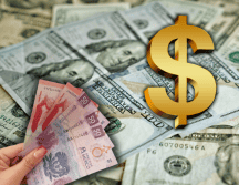 Consulta el tipo de cambio del dólar frente al peso mexicano hoy. La moneda nacional registra ganancias esta mañana, impulsando una caída en la cotización de la divisa estadounidense. ESPECIAL/Canva