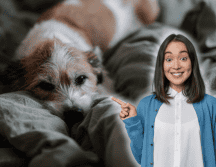 Investigaciones recientes analizan qué tan saludable es dormir con tu perro. ESPECIAL/Canva/Unsplash