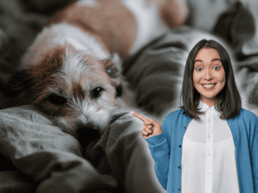 Investigaciones recientes analizan qué tan saludable es dormir con tu perro. ESPECIAL/Canva/Unsplash