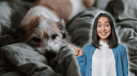 Investigaciones recientes analizan qué tan saludable es dormir con tu perro. ESPECIAL/Canva/Unsplash