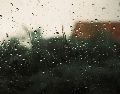 Descubre las mejores estrategias y recomendaciones de las autoridades para mantenerte seguro durante la actual temporada de lluvias y evitar riesgos innecesarios. Pexels