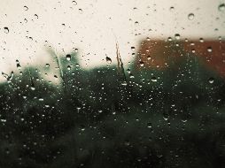 Descubre las mejores estrategias y recomendaciones de las autoridades para mantenerte seguro durante la actual temporada de lluvias y evitar riesgos innecesarios. Pexels