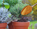 Si se cuenta con plantas pequeñas o macetas de interior, la dosis debe reducirse a una sola cucharadita de canela. ESPECIAL / CANVA