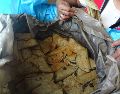 La relevancia de los tacos de canasta ha trascendido las calles para posicionarse en los rankings gastronómicos más prestigiosos, siendo catalogados como una de las comidas callejeras más populares y mejor valoradas del mundo. NOTIMEX/ARCHIVO
